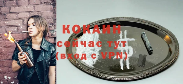 твердый Ладушкин