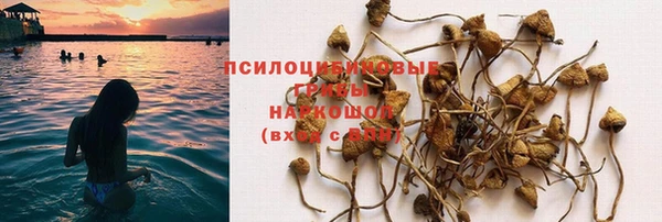 марки lsd Лабытнанги