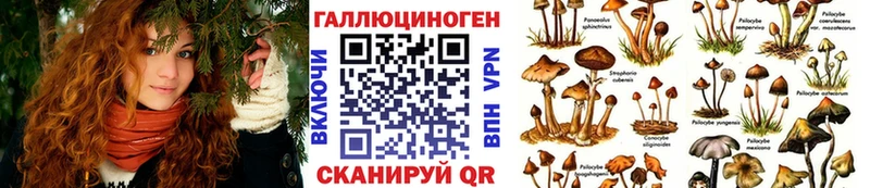 что такое   Курчатов  это официальный сайт  Псилоцибиновые грибы мухоморы 